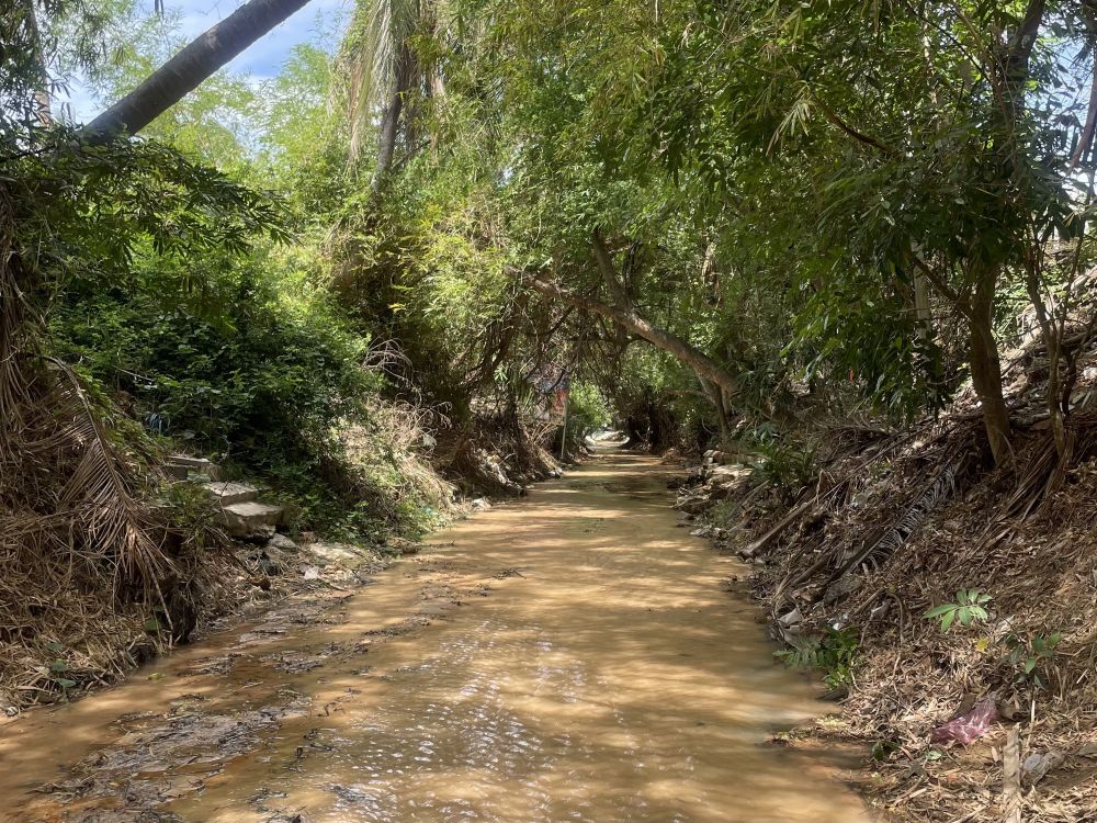 【ホーチミン発】プライベートカーで快適移動!ムイネー満喫日帰り旅 4