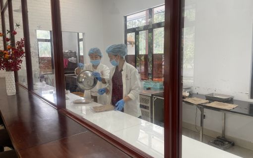 【ホーチミン発】ビーチリゾート・ブンタウ＆ビノンカカオ農園　日帰りツアー 9