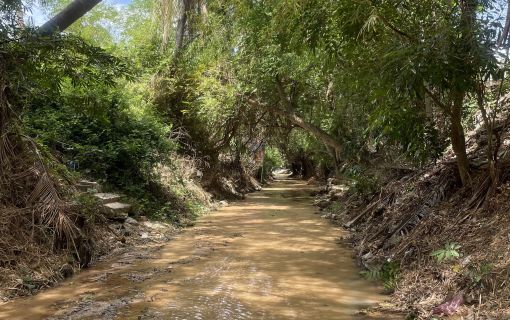 【ホーチミン発】プライベートカーで快適移動!ムイネー満喫日帰り旅 4