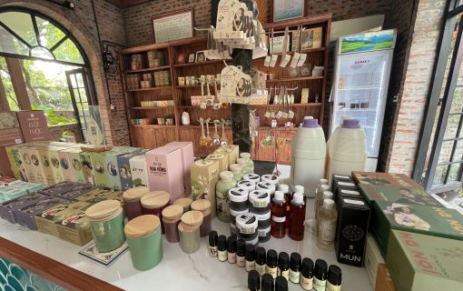 【ハノイ発】世界遺産と癒しのひととき　チャンアン＆足湯体験 10