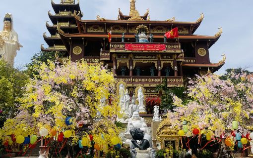 【ホーチミン発】プライベートカーで快適移動!ムイネー満喫日帰り旅 6