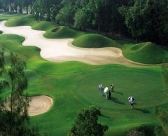 サミット・ウィンドミル・ゴルフ・クラブ （バンコク） 4