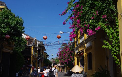 【ホイアン発】 ミーソン遺跡とホイアン観光  2