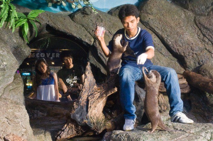 【10月末までのプロモーションあり♪】サイアム・シーライフ・オーシャン・ワールド (水族館, バンコク) 10