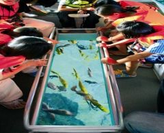 【10月末までのプロモーションあり♪】サイアム・シーライフ・オーシャン・ワールド (水族館, バンコク) 9