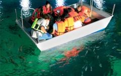 【10月末までのプロモーションあり♪】サイアム・シーライフ・オーシャン・ワールド (水族館, バンコク) 4