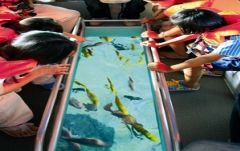 【10月末までのプロモーションあり♪】サイアム・シーライフ・オーシャン・ワールド (水族館, バンコク) 9