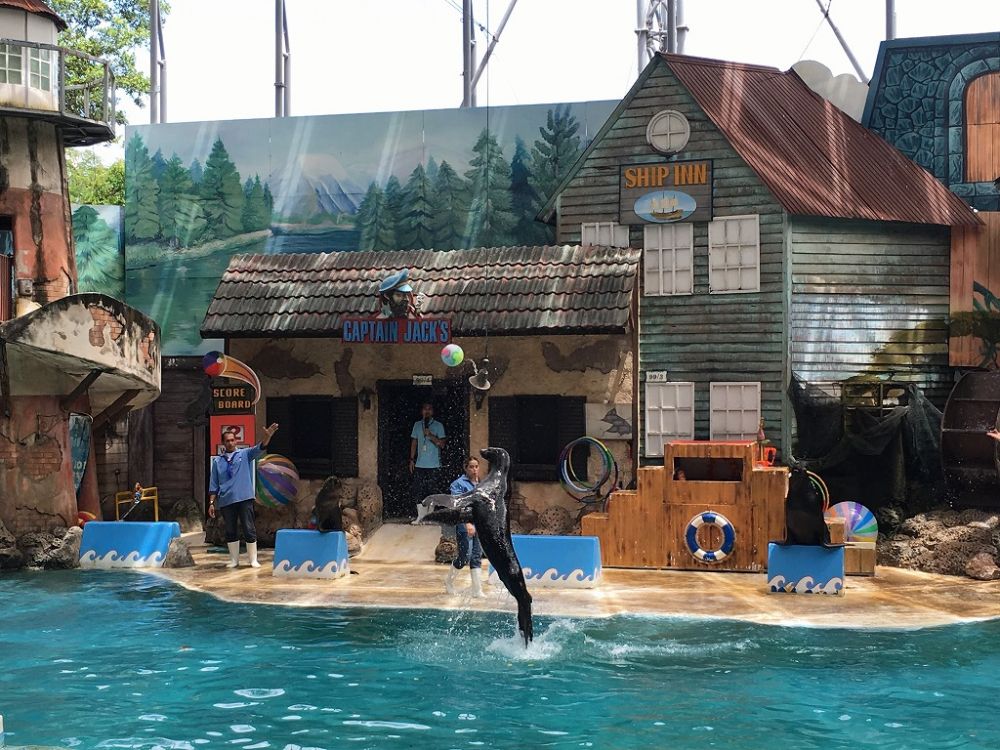 【1日・専用車】サファリワールド<サファリパーク&マリンパーク>(昼食付) 4