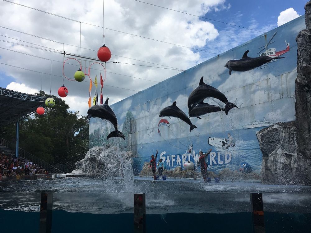 【特価】《タイ語ドライバー送迎付き》サファリワールド (バンコク発) 2