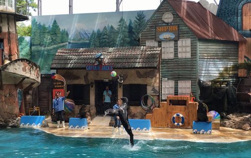 【1日・専用車】サファリワールド<サファリパーク&マリンパーク>(昼食付) 4