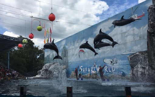 【特価】《タイ語ドライバー送迎付き》サファリワールド (バンコク発) 2