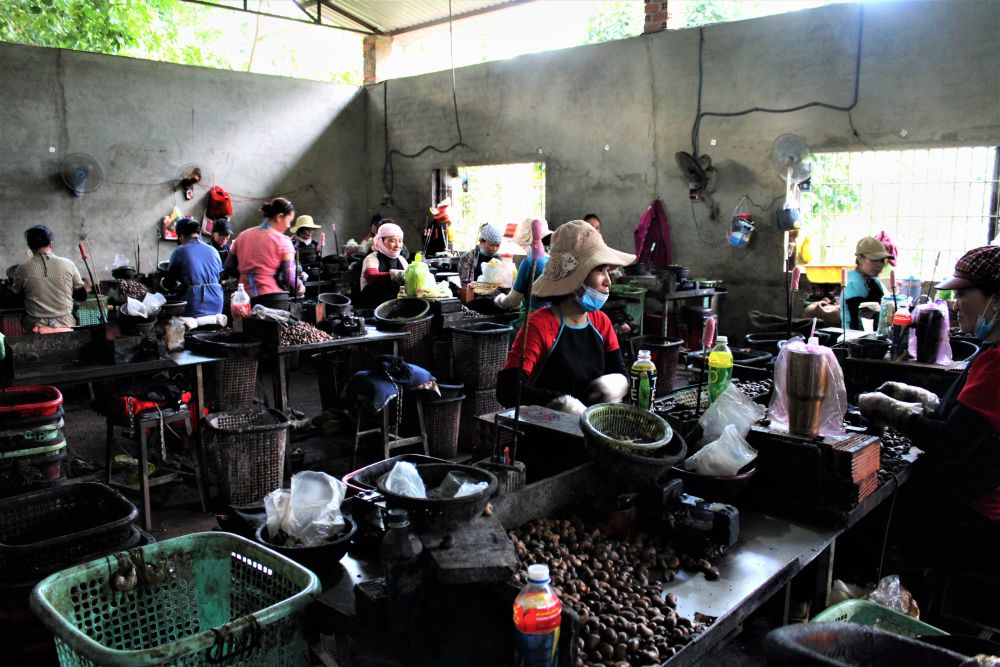 【ホーチミン発】ビノンカカオ農園&チョコレート工房 6