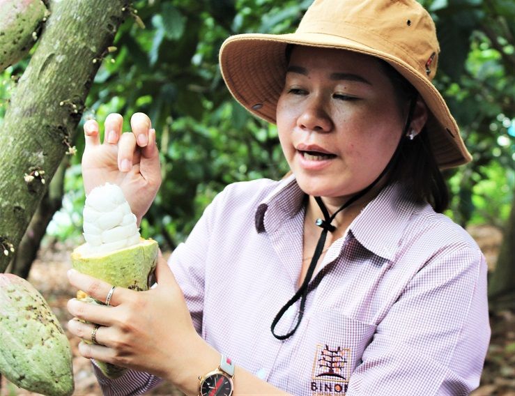 【ホーチミン発】ビノンカカオ農園&チョコレート工房 1
