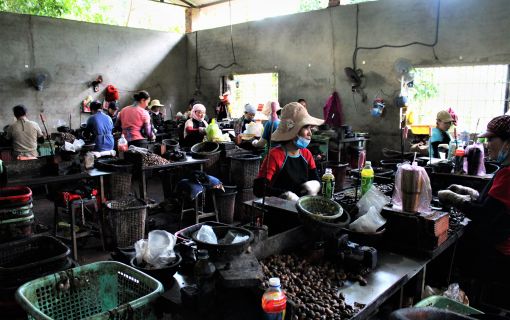 【ホーチミン発】ビノンカカオ農園&チョコレート工房 6