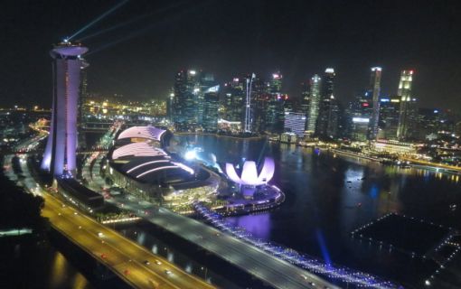 シンガポールフライヤー付きプラン(午後発!シンガポールのパワースポットとトライショー&夜景ツアー)