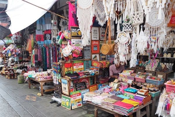 バリズー(Bali Zoo)にてエレファントライド＆ウブド自由散策 11