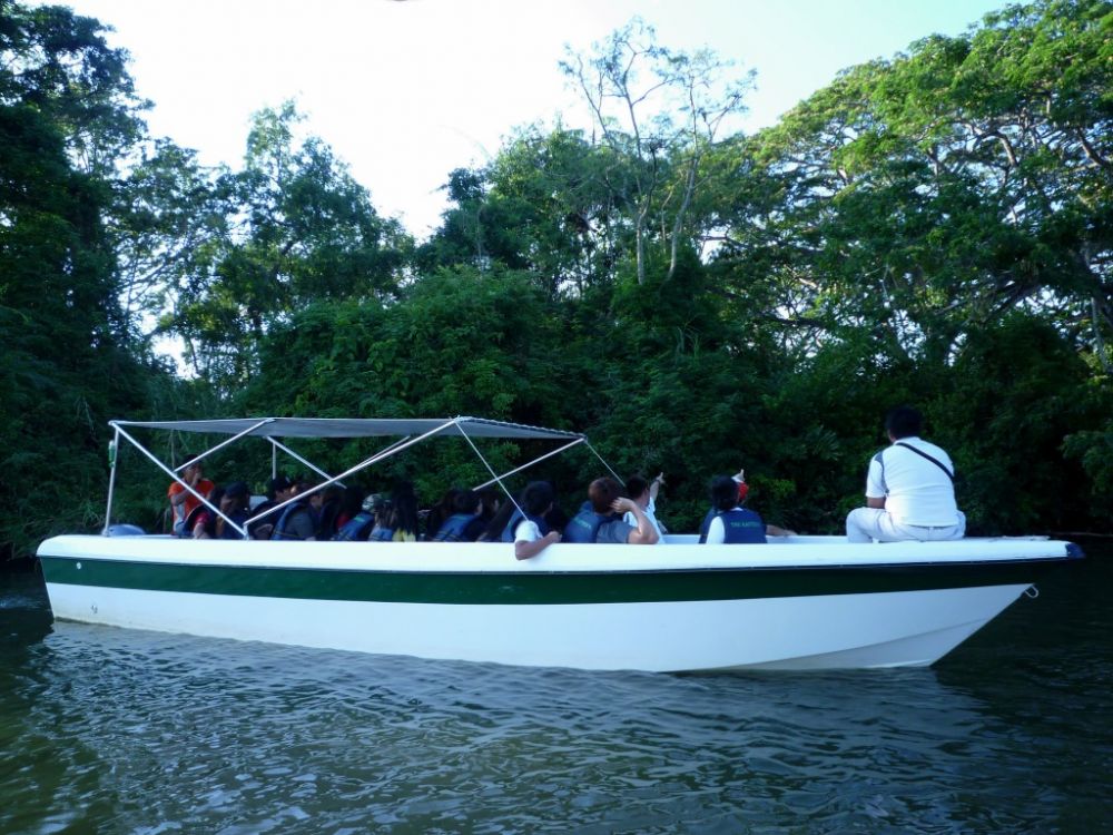 カワカワ・イブニングクルーズ（コタキナバル発） 4