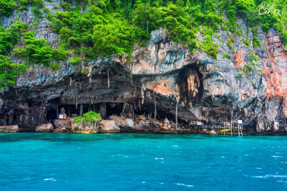 【プーケット発】ピピ島 6