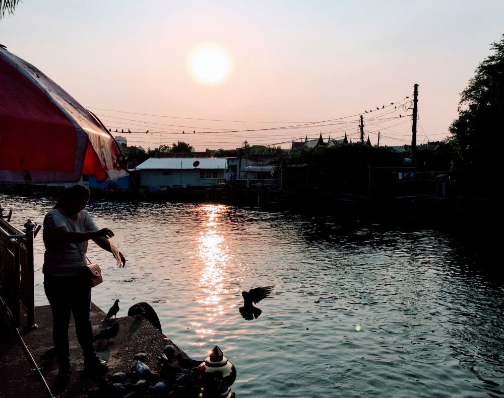 オンライン＜ZOOM＞でどこからでも♪【特価】アナ雪を押さえたNo.1映画「メー・ナーク」のお寺でタロット占い(バンコク発)  10