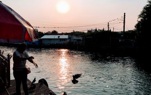 オンライン＜ZOOM＞でどこからでも♪【特価】アナ雪を押さえたNo.1映画「メー・ナーク」のお寺でタロット占い(バンコク発)  10