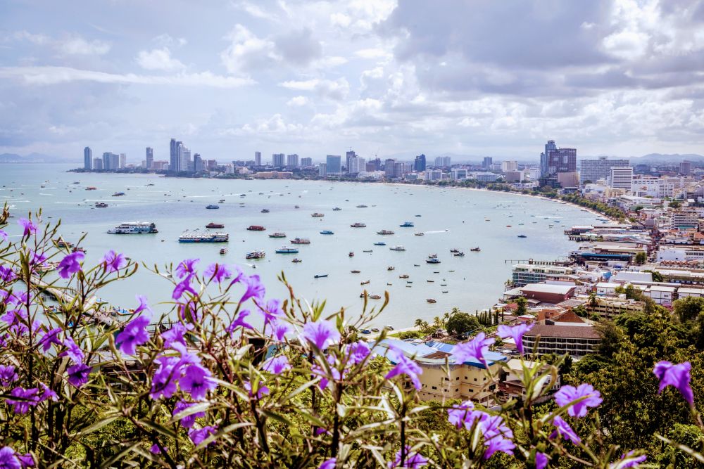 ビューポイント