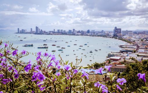 ビューポイント