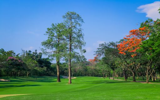 オールド・コース