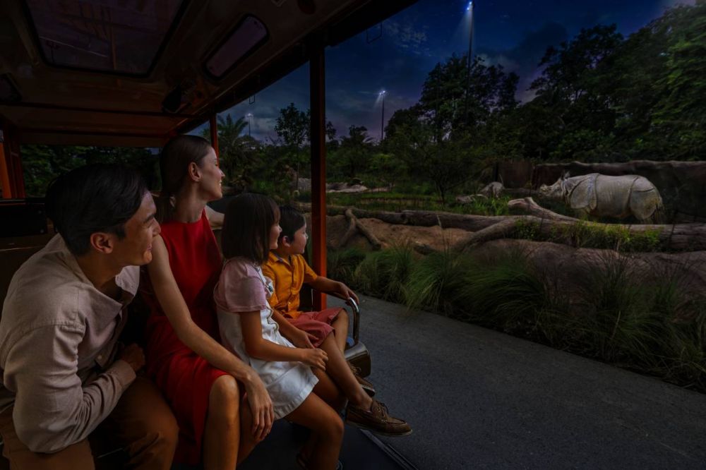 夕方発！ナイトサファリ！ 1