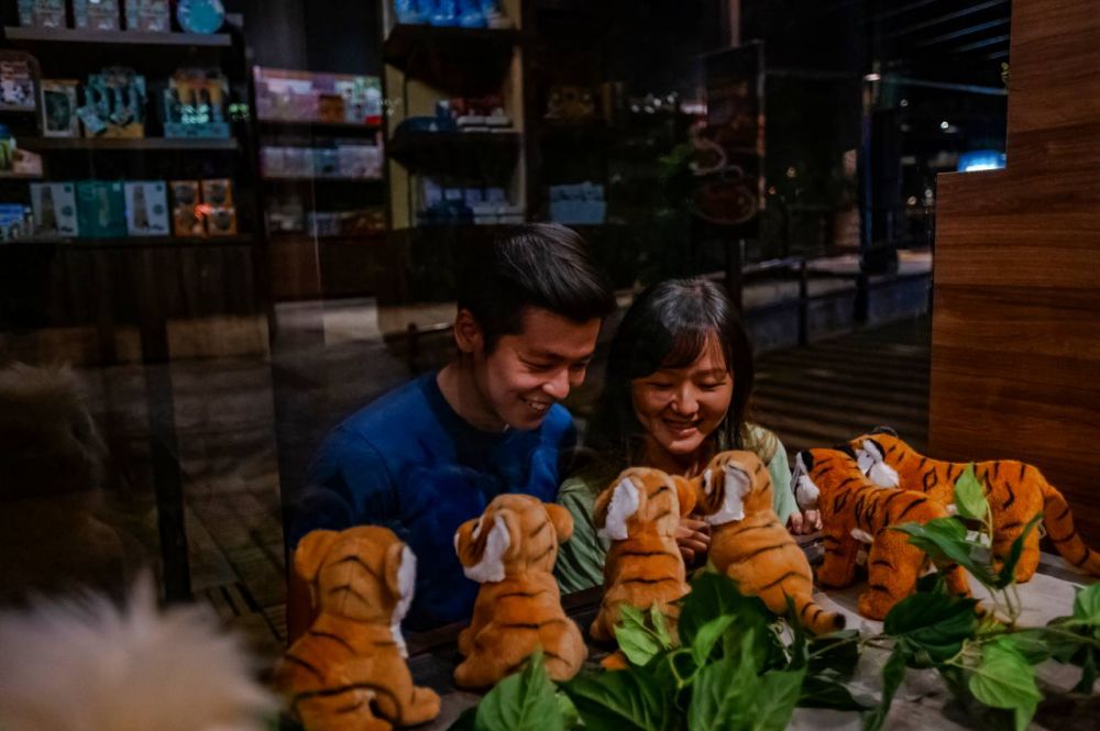 夕方発！ナイトサファリ！ 5