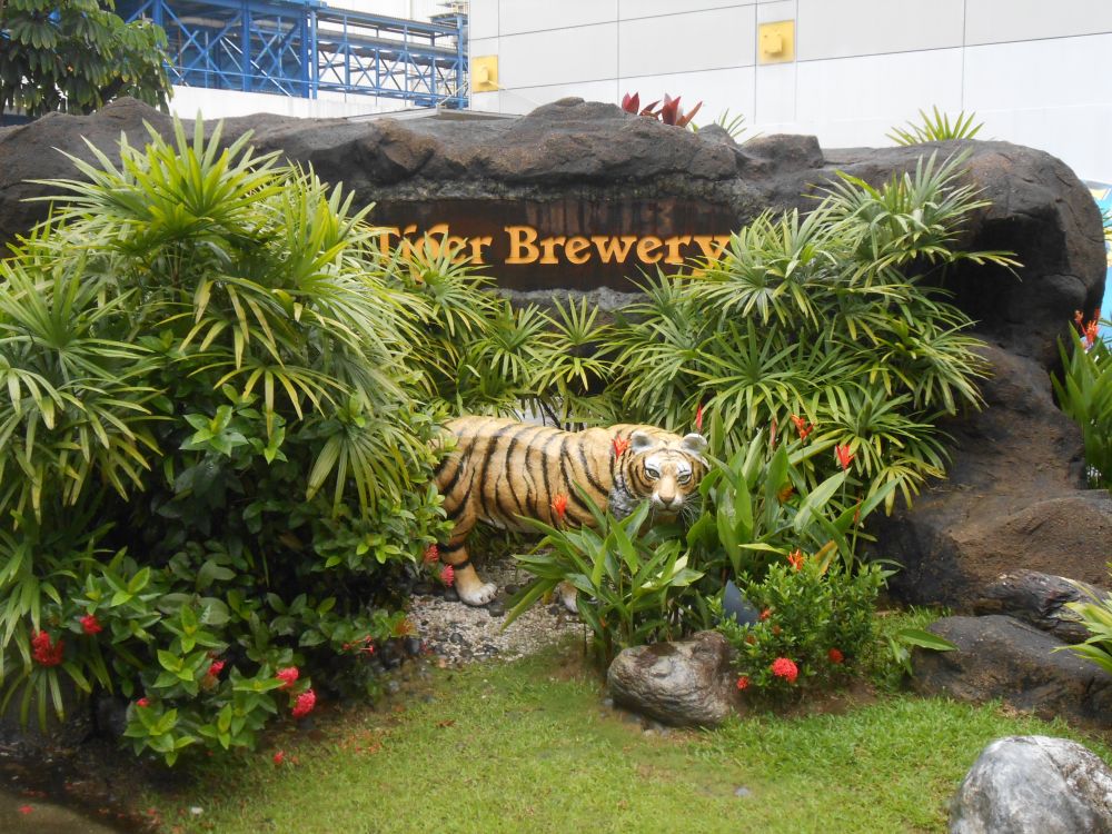 ビール好き必見!これぞ休日!午後発観光ツアー! 3