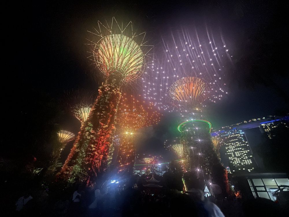 夕方発!シンガポール夜景ツアー 6