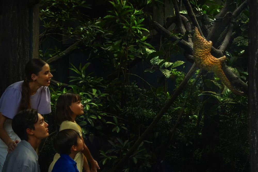 夕方発！ナイトサファリ！ 3