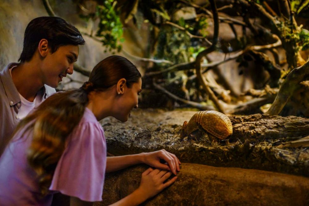 夕方発！ナイトサファリ！ 4