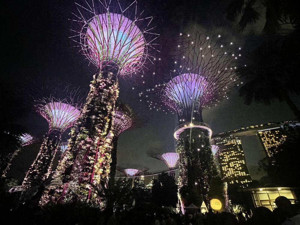 夕方発!シンガポール夜景ツアー 7