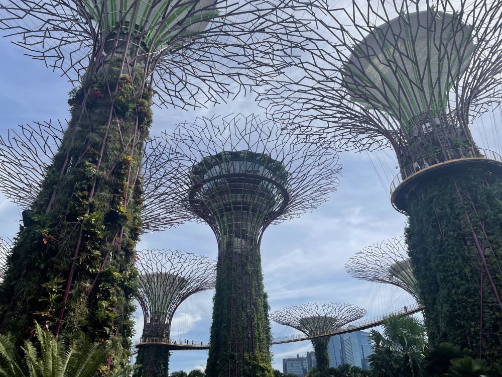 午前発！お手軽シンガポール観光！食事なし＜3時間＞ 5