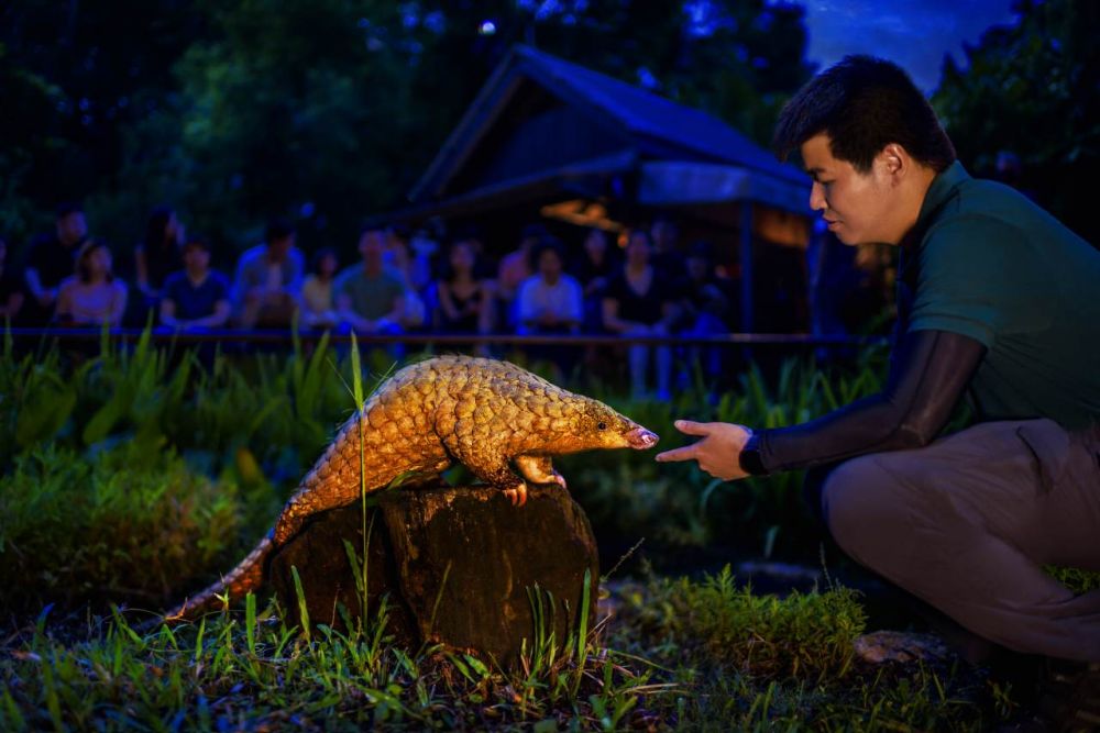 夕方発！ナイトサファリ！ 2