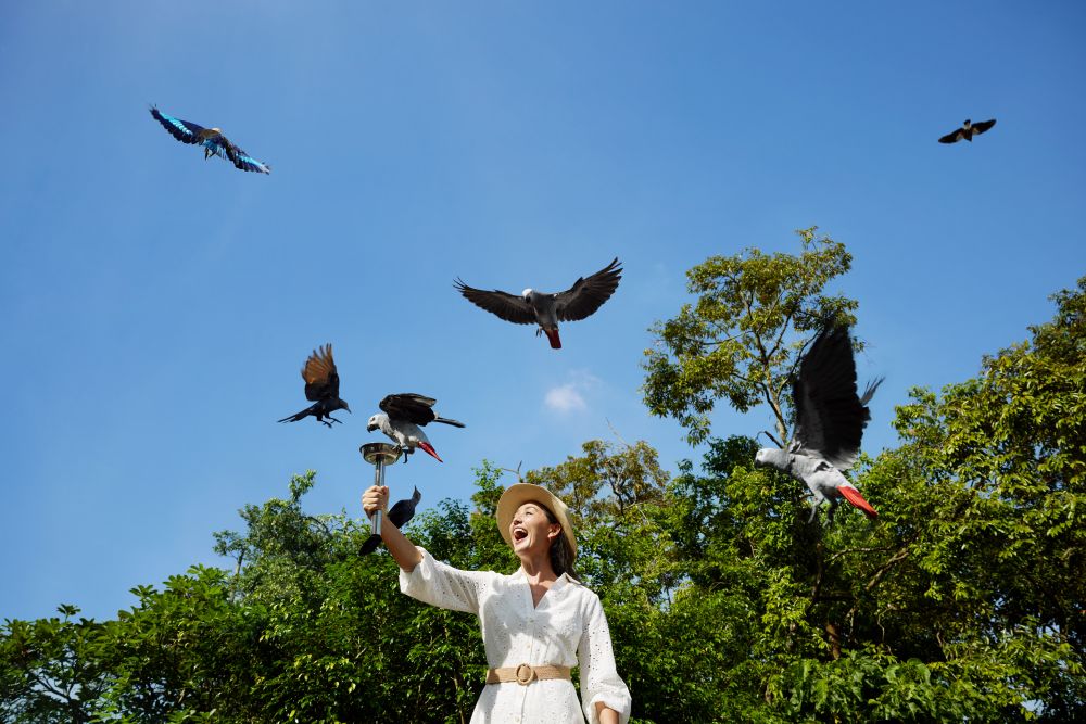 午後発！バードパラダイスとナイトサファリ！ 2