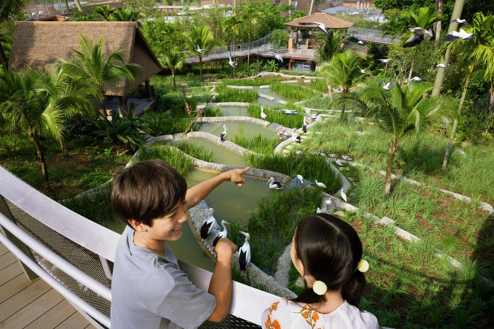 午後発！バードパラダイスとナイトサファリ！ 1