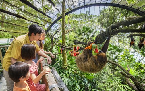 午後発！よくばり動物園とナイトサファリ！ 4