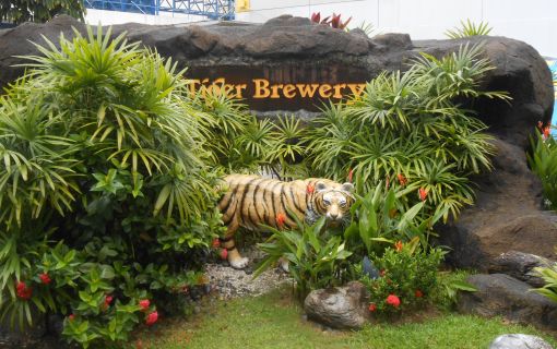 ビール好き必見!これぞ休日!午後発観光ツアー! 3