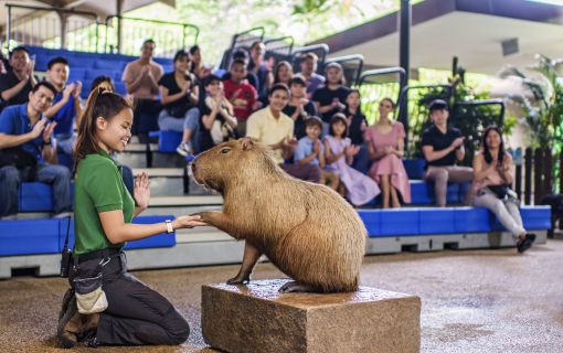 午後発!気軽にリバーワンダーとナイトサファリ! 6
