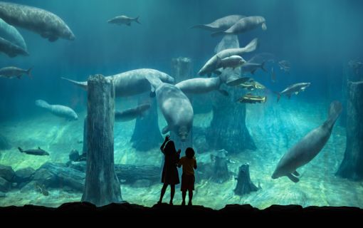 午後発!気軽にリバーワンダーとナイトサファリ! 2