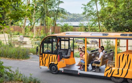 午後発！よくばり動物園とナイトサファリ！ 6