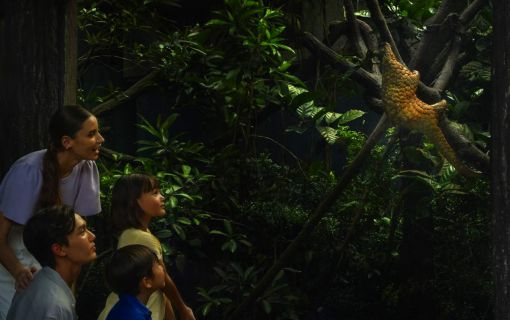 夕方発！ナイトサファリ！ 3