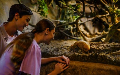 夕方発！ナイトサファリ！ 4