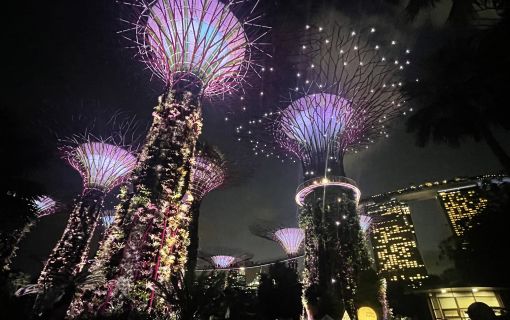 夕方発!シンガポール夜景ツアー 7