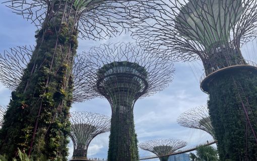 午前発！お手軽シンガポール観光！食事なし＜3時間＞ 5