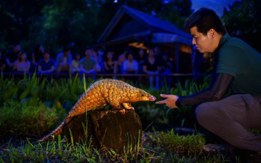 夕方発！ナイトサファリ！ 2