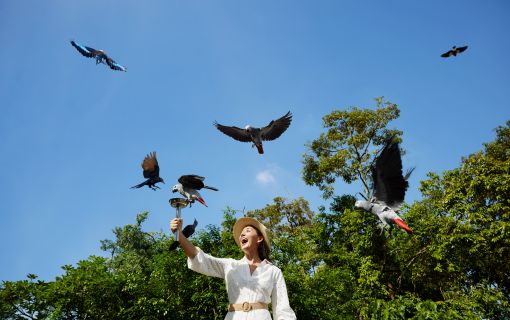 午後発！バードパラダイスとナイトサファリ！ 2