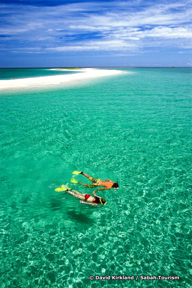 のんびりサピ島　シュノーケリングツアー　（コタキナバル発 ） 1